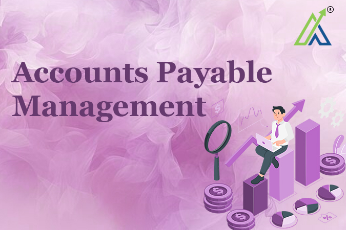 Accounts Payable Management