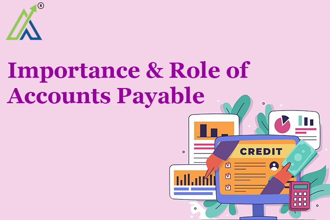 Importance & Role of Accounts Payable