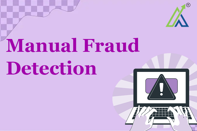 Manual Fraud Detection