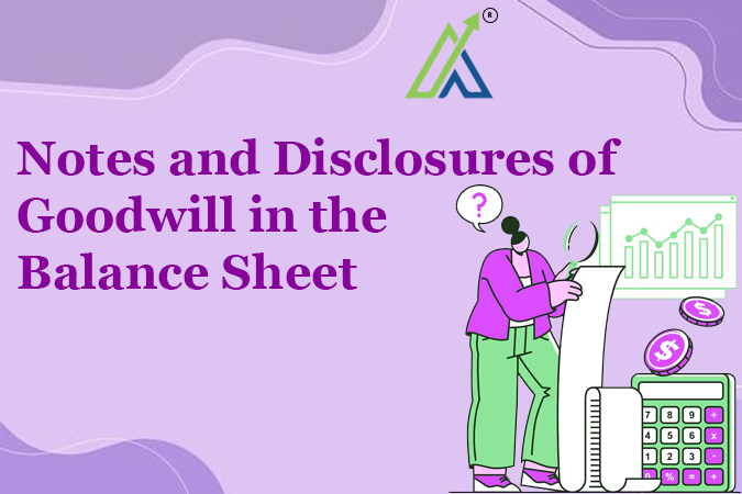 Notes and Disclosures of Goodwill in the Balance Sheet